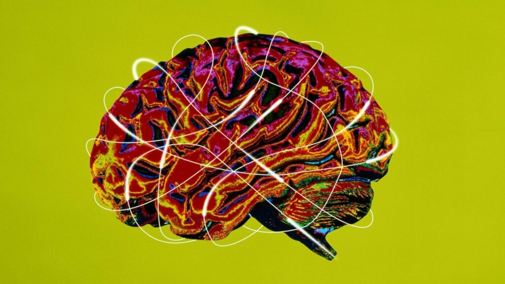 Haut Potentiel Emotionnel (HPE)