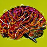 Haut Potentiel Emotionnel (HPE)