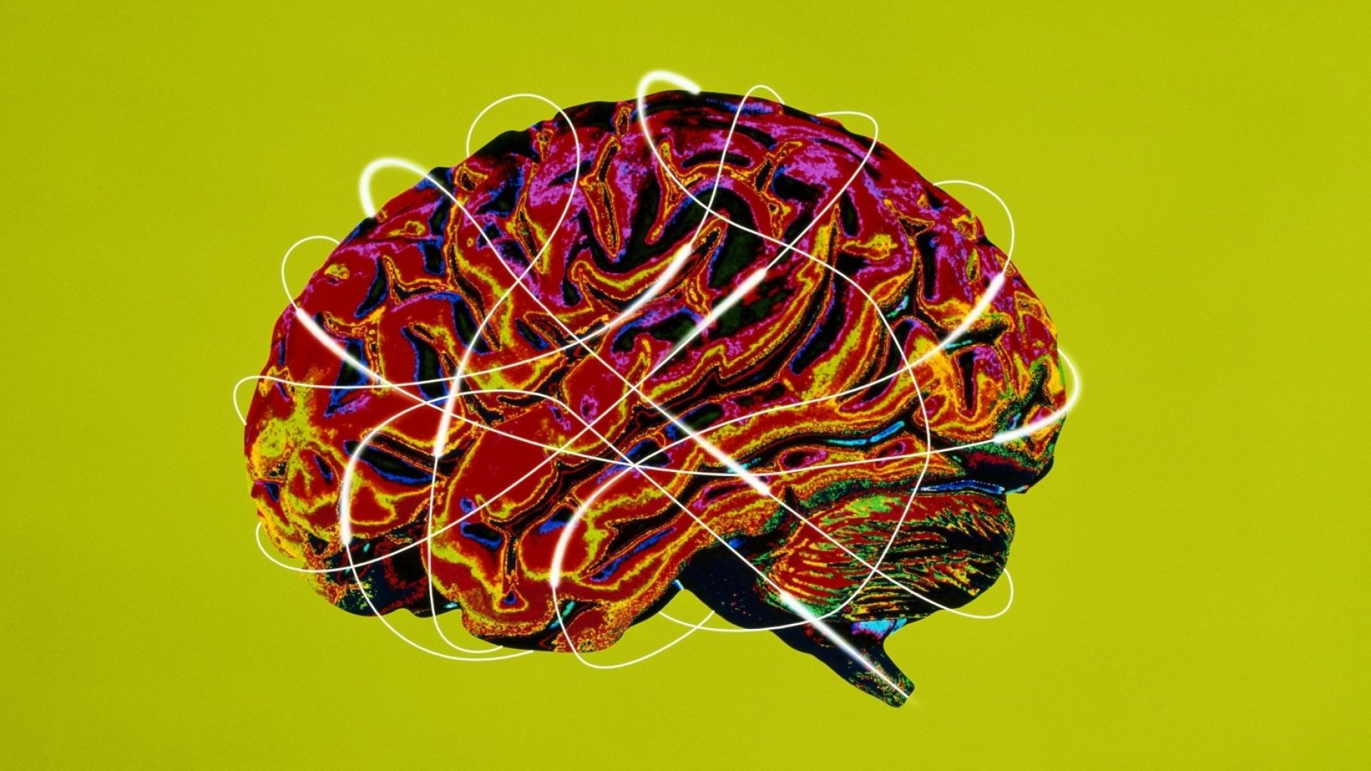 Haut Potentiel Emotionnel (HPE)